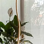 Bwr - Near Mico, Alberti Апартаменты