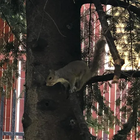 Bwr - Near Mico, Alberti Διαμέρισμα *